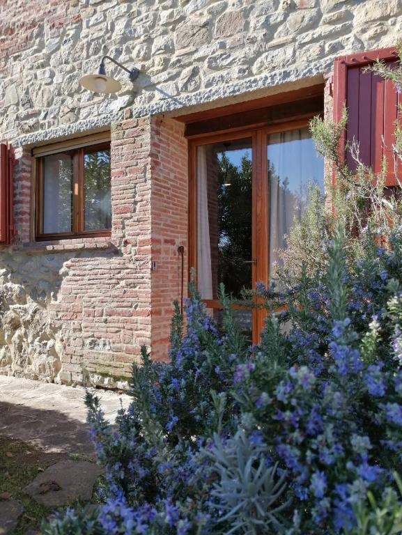 Zahrada ubytování Agriturismo Podere Prataccio