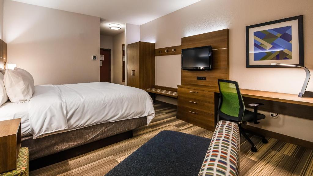 Holiday Inn Express & Suites Detroit - Farmington Hills by IHG - Standaard King Kamer
