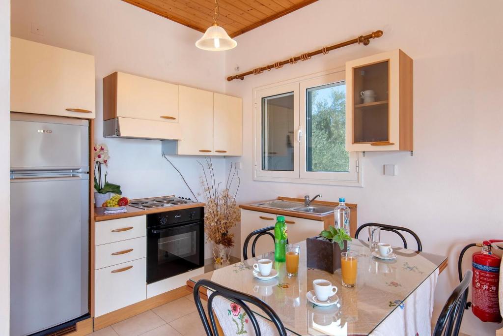 Kuchyň nebo kuchyňský kout v ubytování Olympia Paxos Villas & Apartments