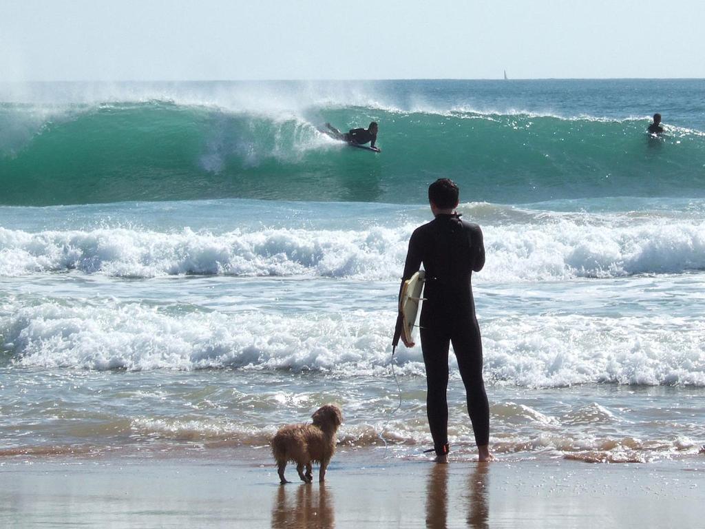 Hosté ubytování Carcavelos Surf