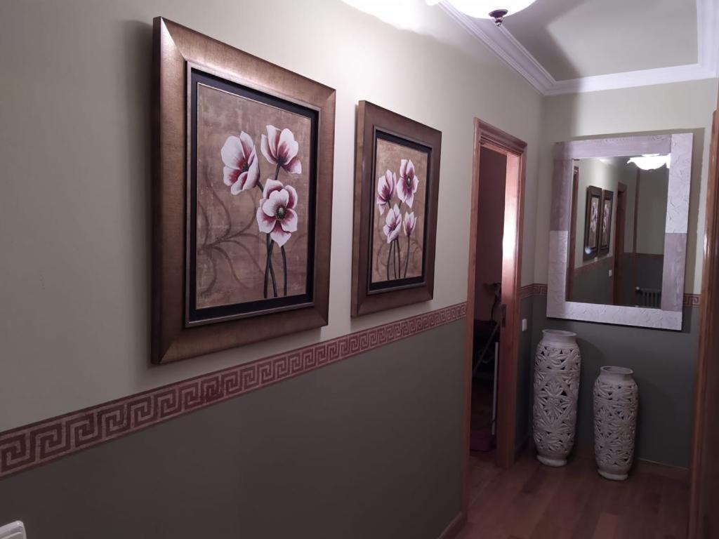 Fotografie z fotogalerie ubytování nice apartment Don Santiago v destinaci Santiago de Compostela