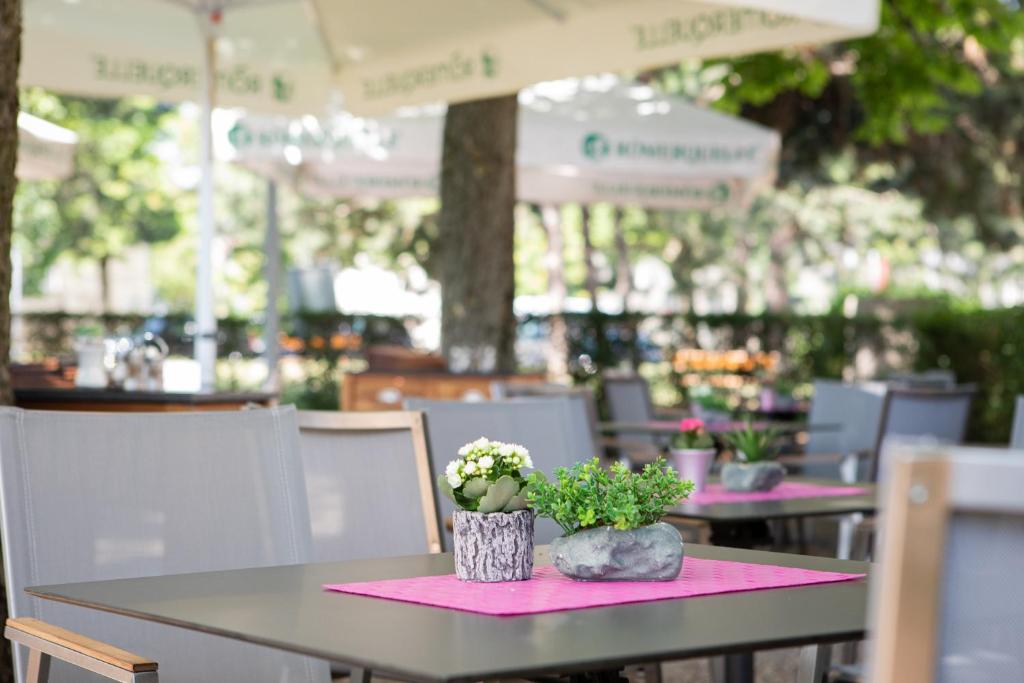 Restauracja lub miejsce do jedzenia w obiekcie Hotel Bergwirt Schönbrunn