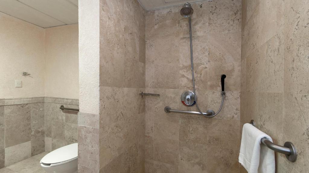 Holiday Inn Queretaro Centro Historico by IHG - Camera King Standard - Accessibile Ai Disabili