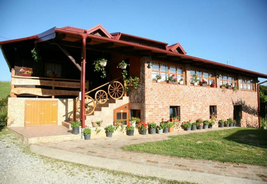 a building with potted plants on the side of it at Ruralna kuća za odmor Ružica in Žitomir