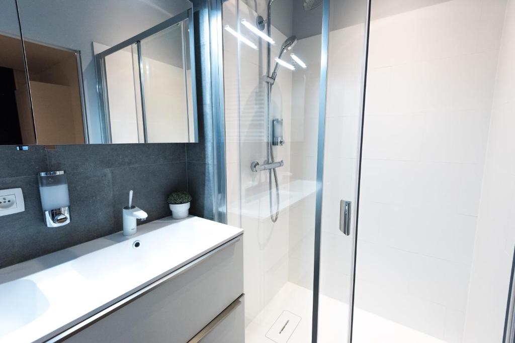 a bathroom with a glass shower and a sink at Smartflats - Bourse Brussels in Brussels