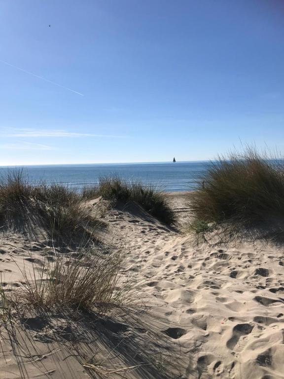 a sandy beach with grass and the ocean in the background at Appartement classé, vue mer, clim, wifi, parking in La Grande-Motte