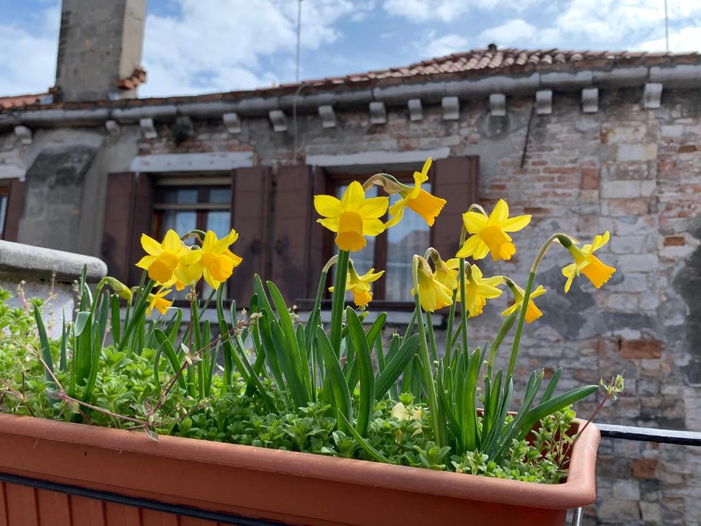 Ogród w obiekcie ROOFTOP TERRACE Domus dei fabbri