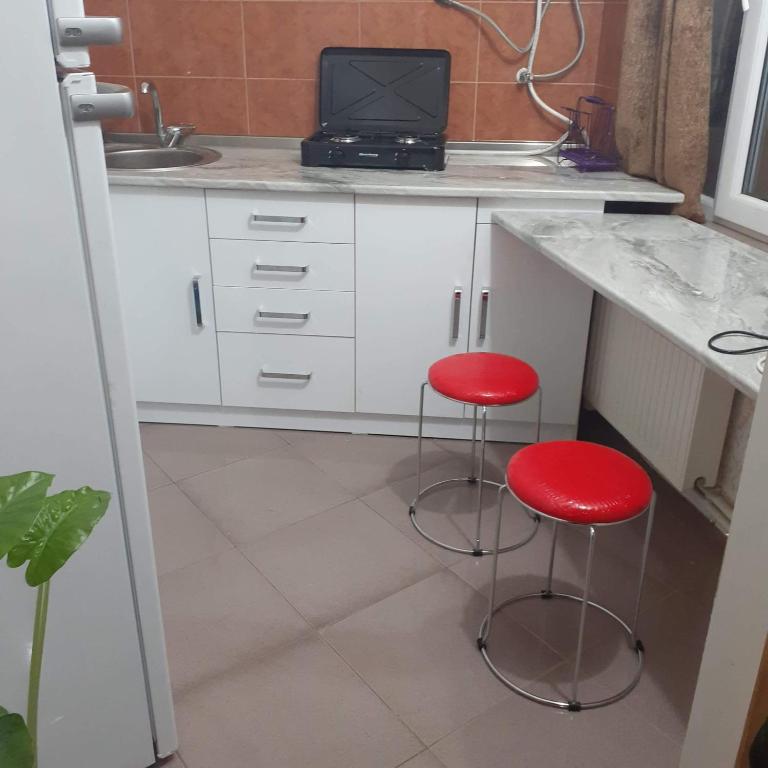 Kuchyň nebo kuchyňský kout v ubytování Hotel ,,Tengo,,