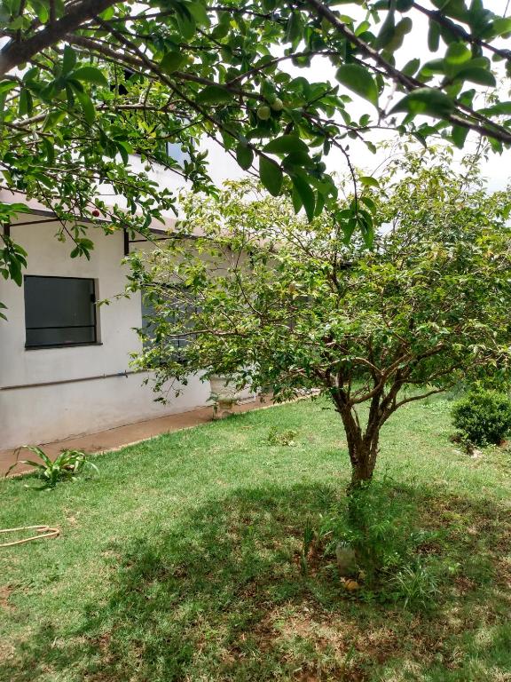  Minha casa em Botucatu Ap2