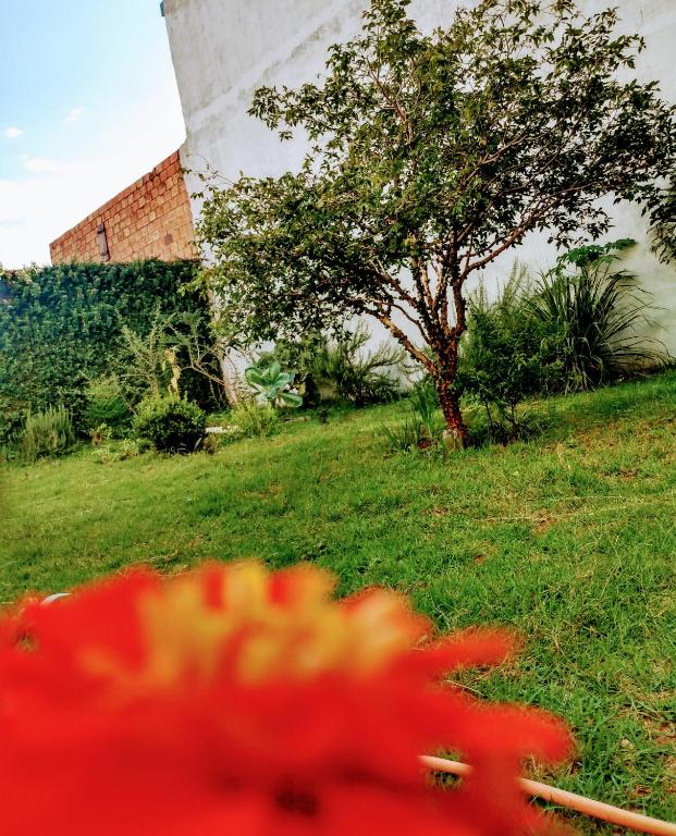  Minha casa em Botucatu Ap2