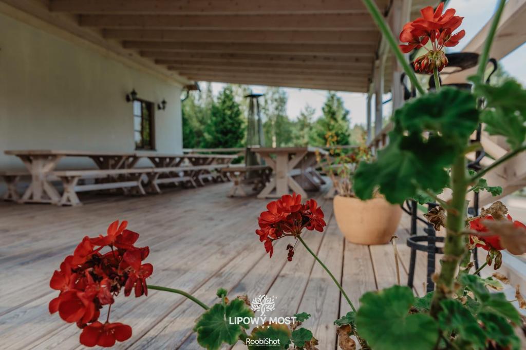 Fotografia z galérie ubytovania Dworek Lipowy Most v destinácii Supraśl