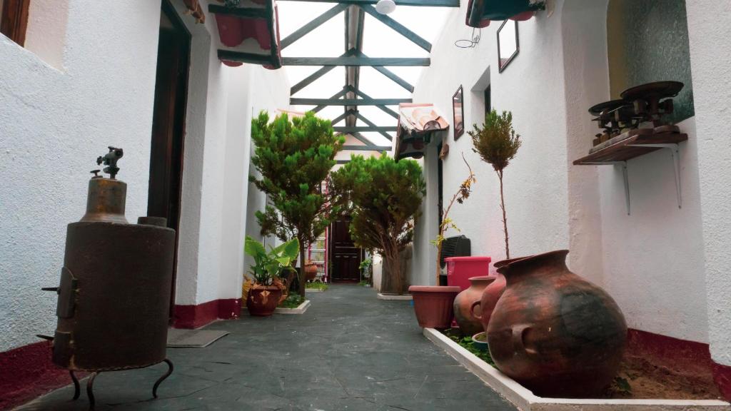 un couloir avec des vases et des plantes dans un bâtiment dans l'établissement Hostal La Magia de Uyuni, à Uyuni