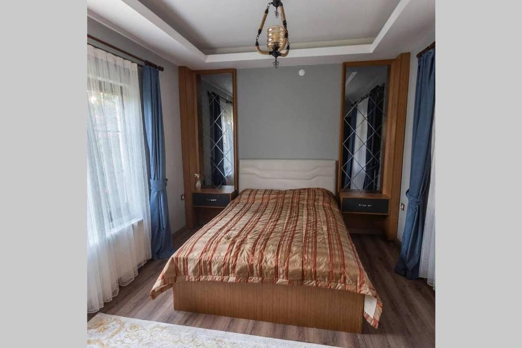 Huge Villa with Swimming Pool in Ankara - Housity