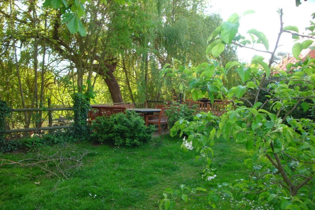 Apartement de vacances Alsace - Ferienwohnung Elsaß - Holiday apartment Alsace - 公寓
