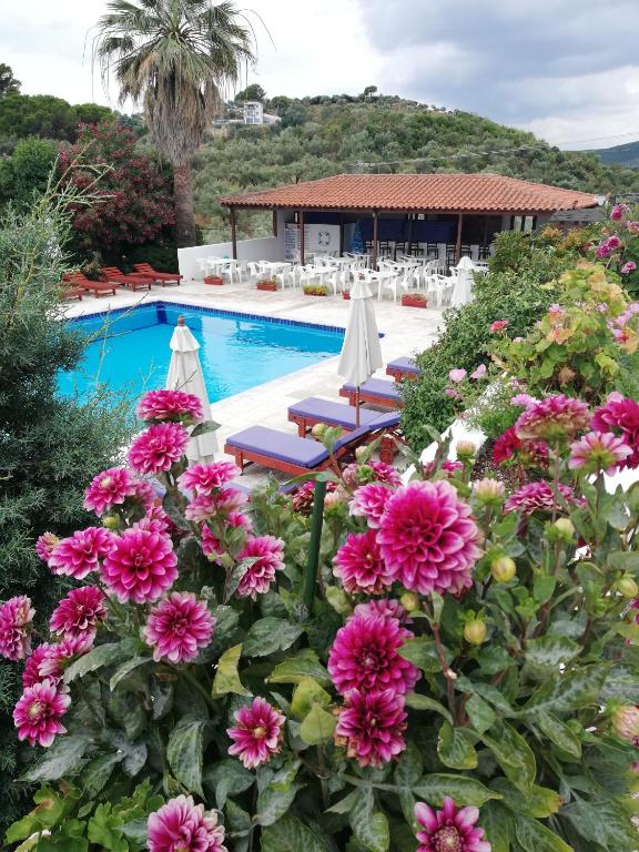 Bazén v ubytování Hotel Paradise nebo v jeho okolí