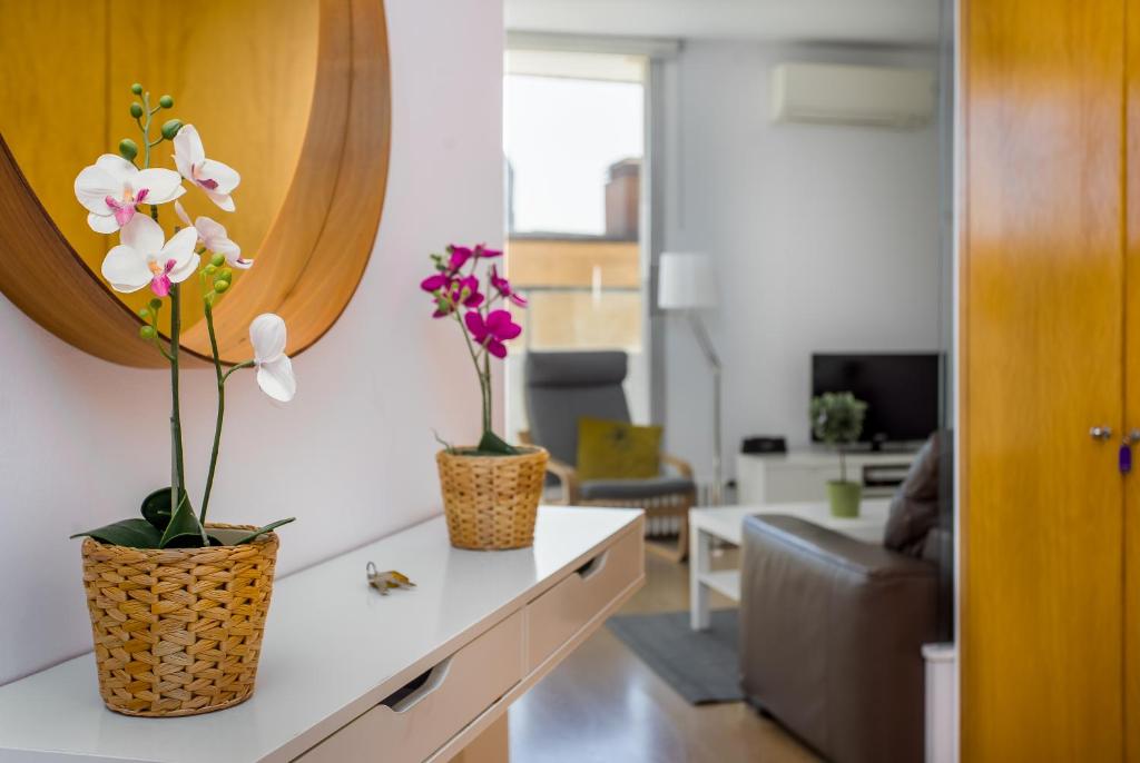TV a/nebo společenská místnost v ubytování Lodging Apartments Beach Apartment Villa Olimpica