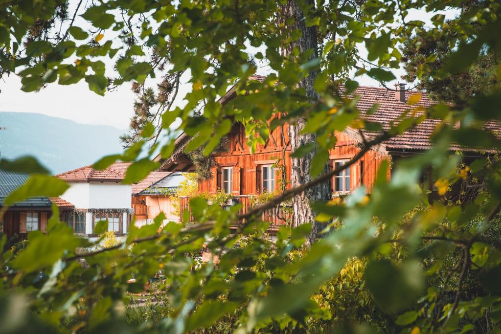 Przyroda w pobliżu tego domu w stylu alpejskim