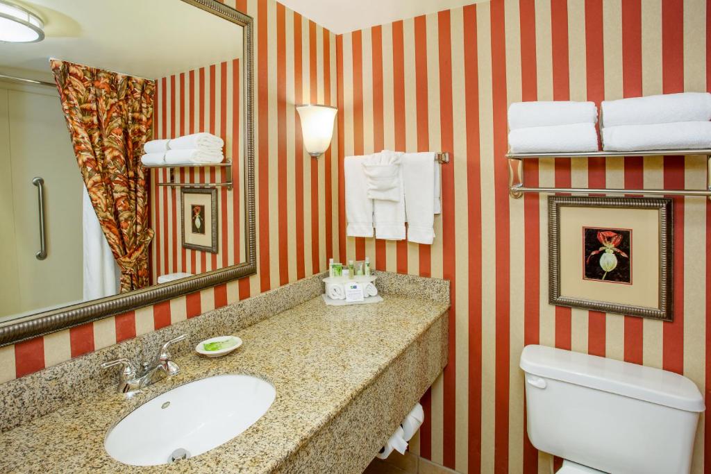 Holiday Inn Express & Suites Bloomington by IHG - Standaard King Kamer Met Slaapbank