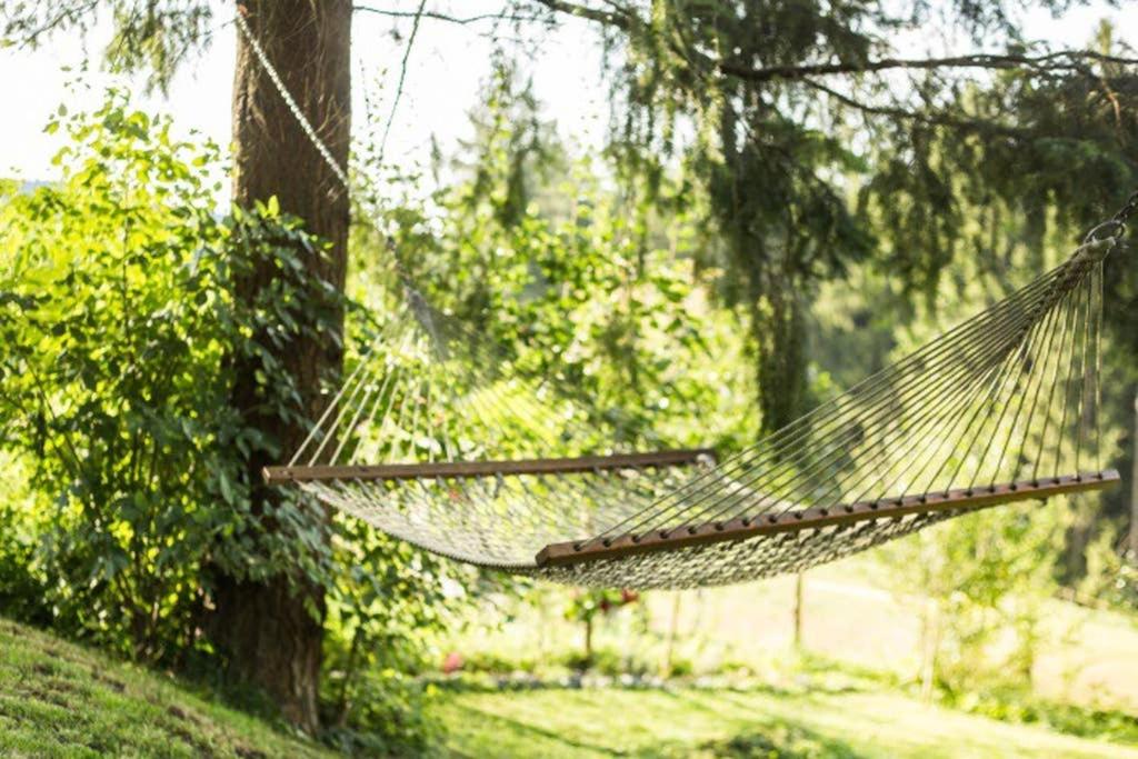 un hamac suspendu à un arbre dans un parc dans l'établissement Landhaus Haid, à Presseck