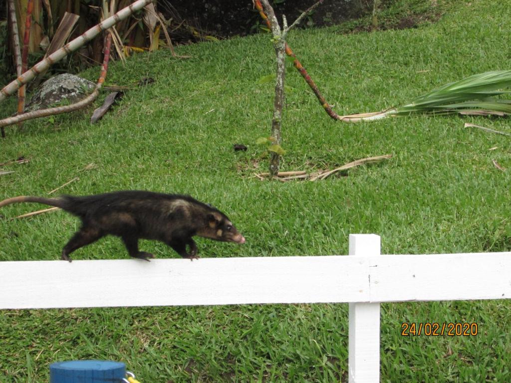  RANCHO FERREIRA