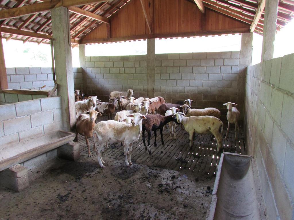  RANCHO FERREIRA