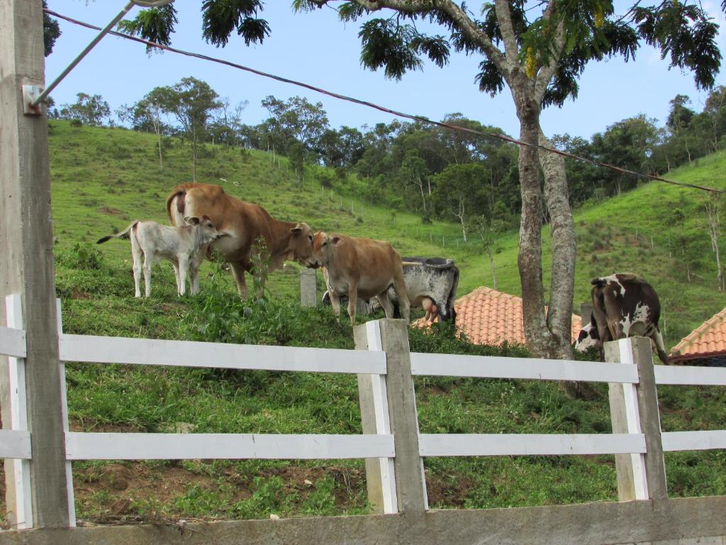  RANCHO FERREIRA