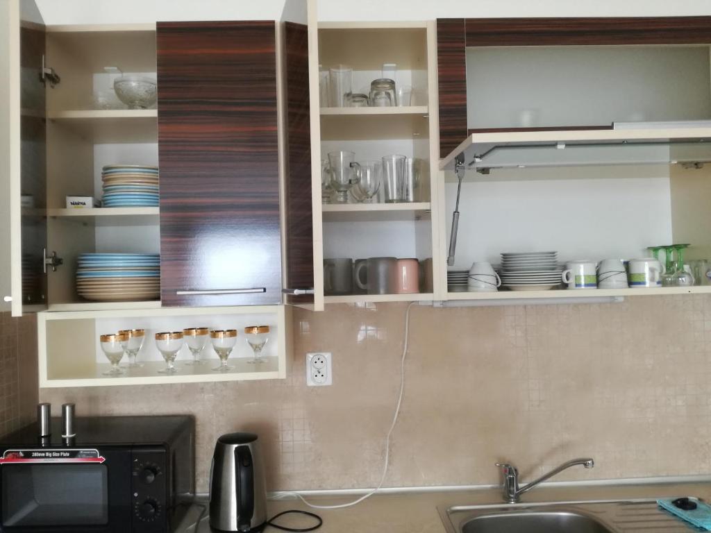 Kuchyň nebo kuchyňský kout v ubytování Apartman Paula 1