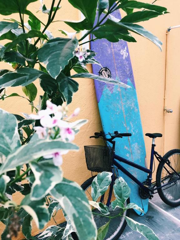  Arte & Hostel