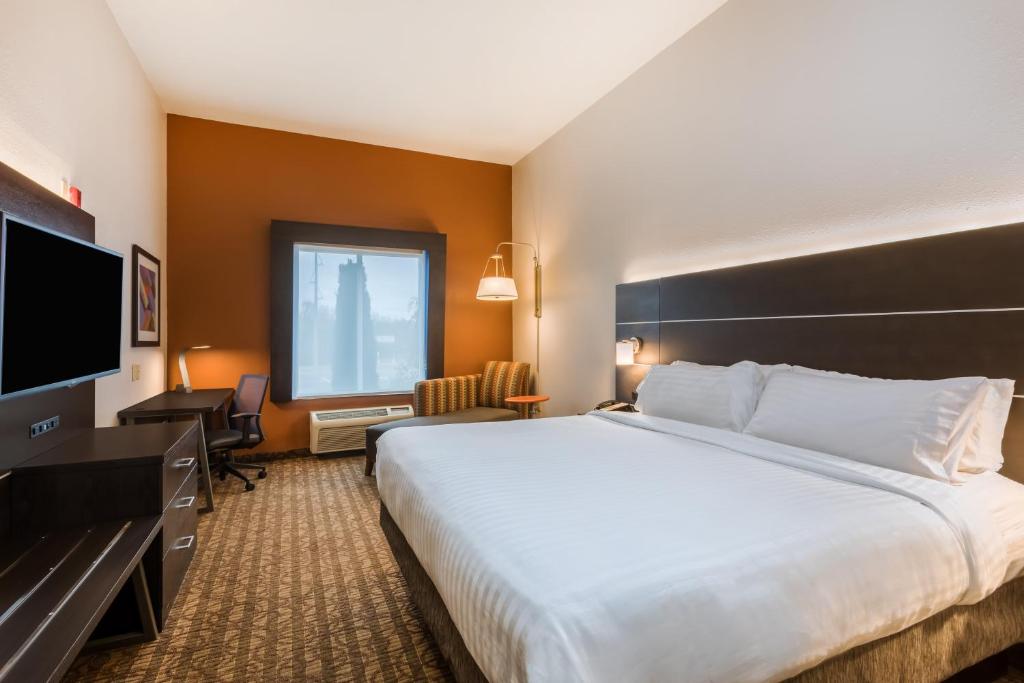 Holiday Inn Express & Suites Bremen GA by IHG - Camera King Standard - Accessibile Ai Disabili