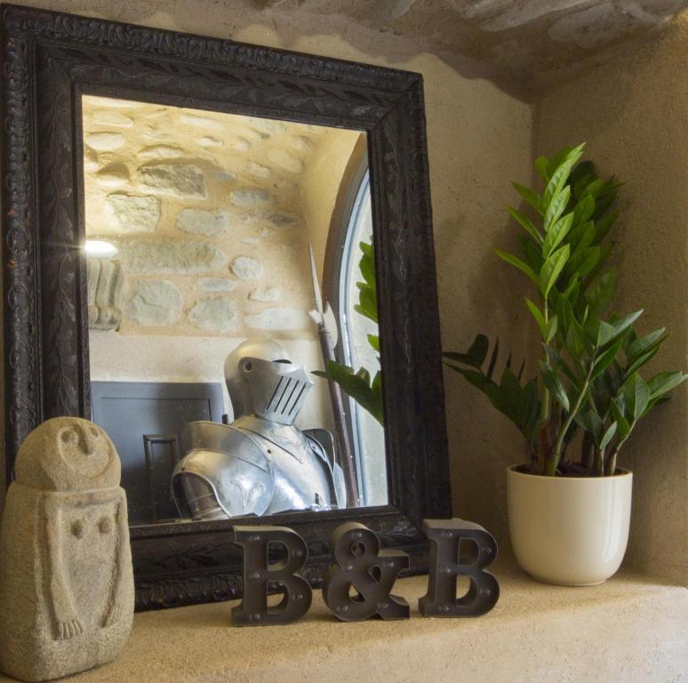 a mirror sitting on a shelf next to a plant at Gredo Antica Dimora in Villafranca in Lunigiana