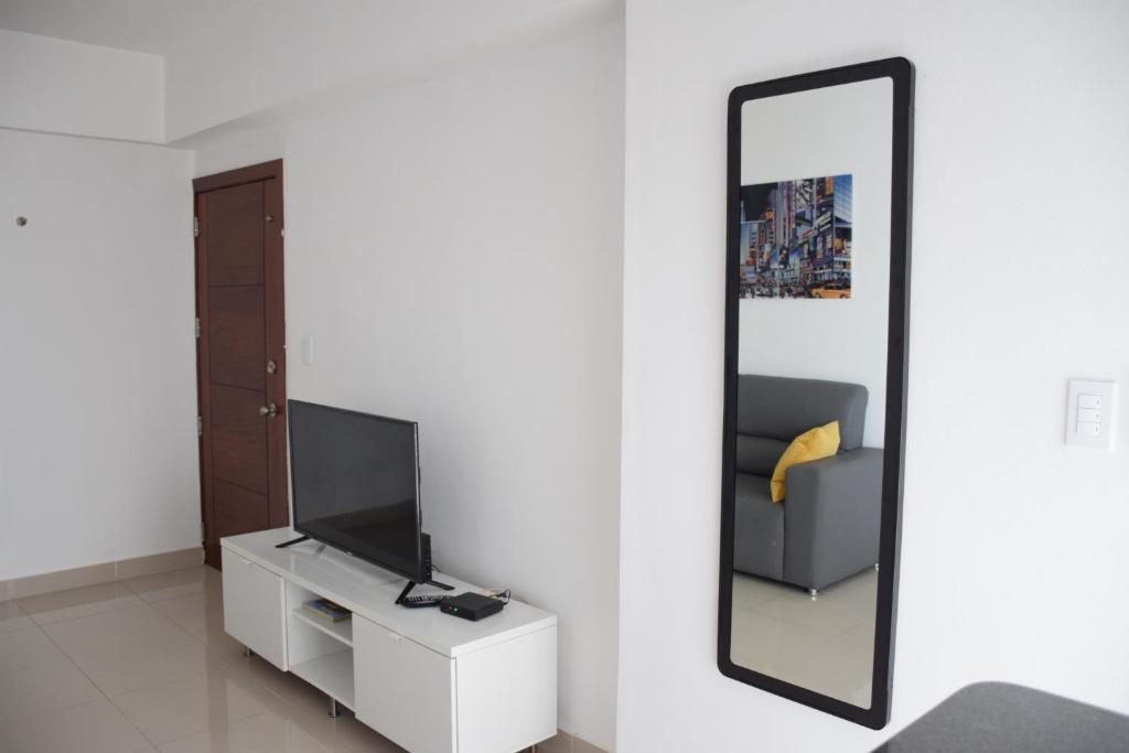 TV a/nebo společenská místnost v ubytování Palmer Suites