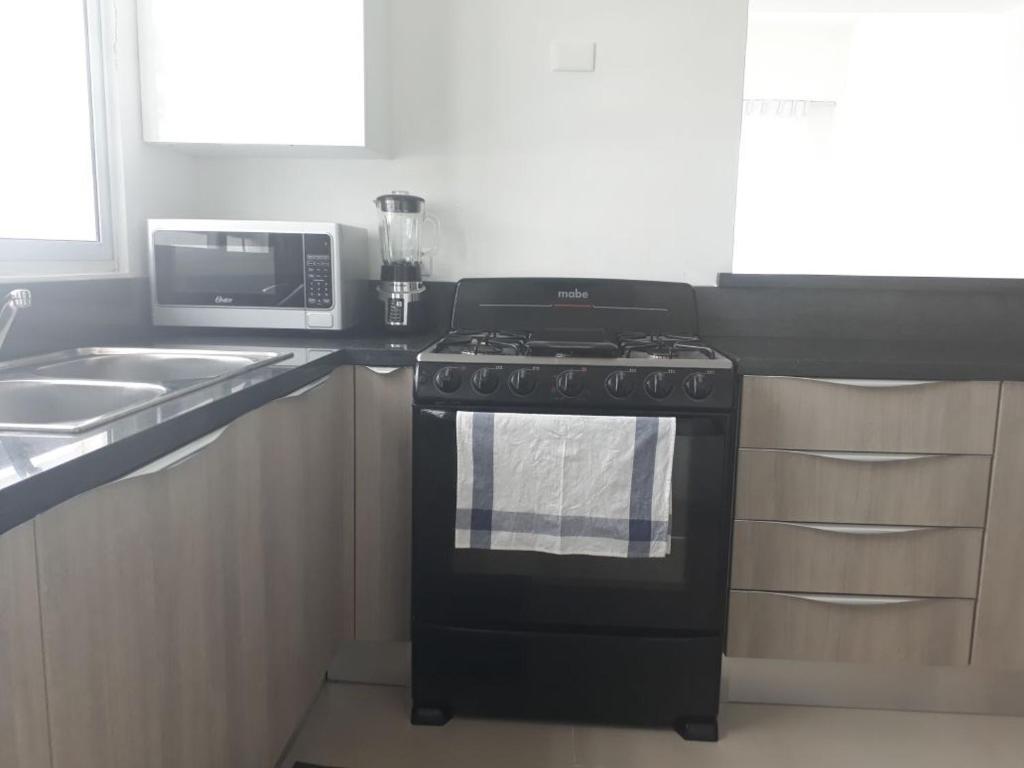 Kuchyň nebo kuchyňský kout v ubytování Palmer Suites