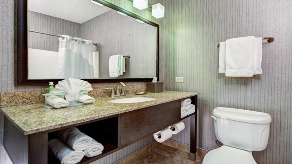 y baño con lavabo, aseo y espejo. en Holiday Inn Express & Suites Chicago-Deerfield Lincolnshire, an IHG Hotel, en Riverwoods