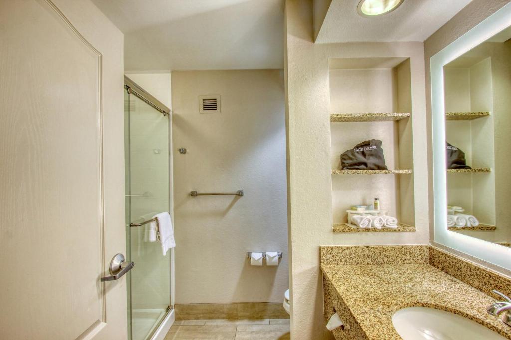 Holiday Inn Express Hotel & Suites Milwaukee Airport by IHG - Camera King Standard