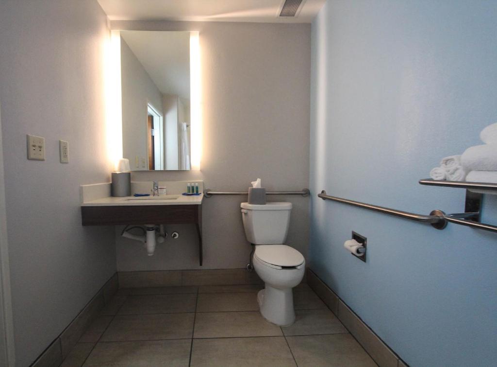 Holiday Inn Express Hotel & Suites Charleston - North by IHG - King Room With Roll-In Shower - Disability Access
