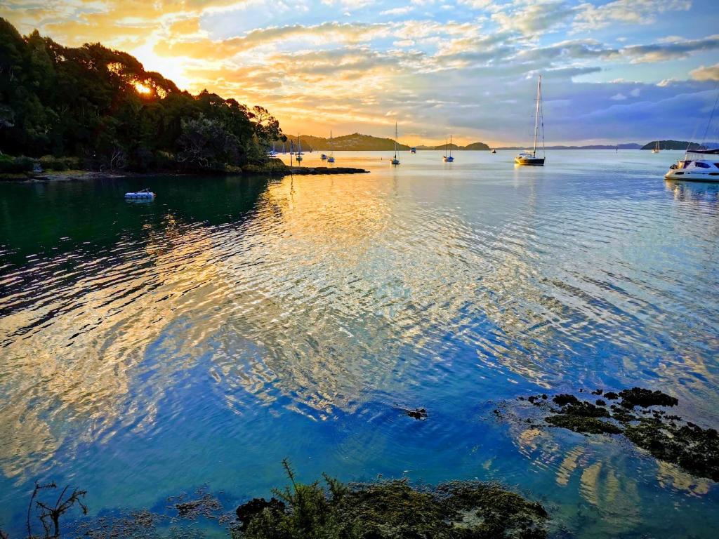 Kerikeri Sunny Modern 2 Bedroom Apartments - Resim 38