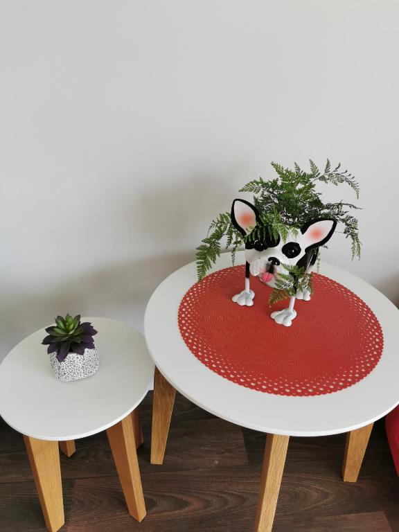 Kerikeri Sunny Modern 2 Bedroom Apartments - Resim 20