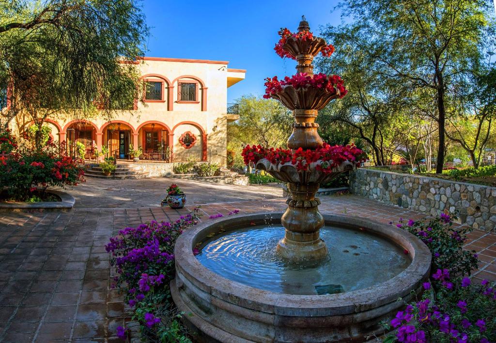 a fountain in the middle of a courtyard with flowers at Loma de Guadalupe Alamos Sonora in Álamos