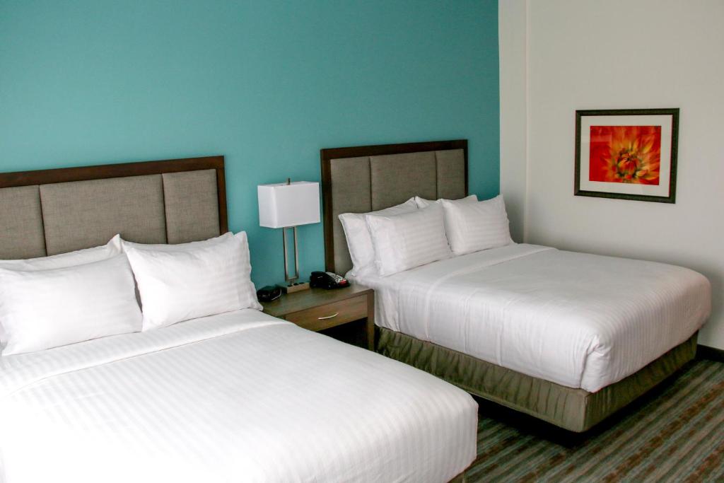 Holiday Inn & Suites Denver Tech Center-Centennial by IHG - 标准间 - 带两张大号床