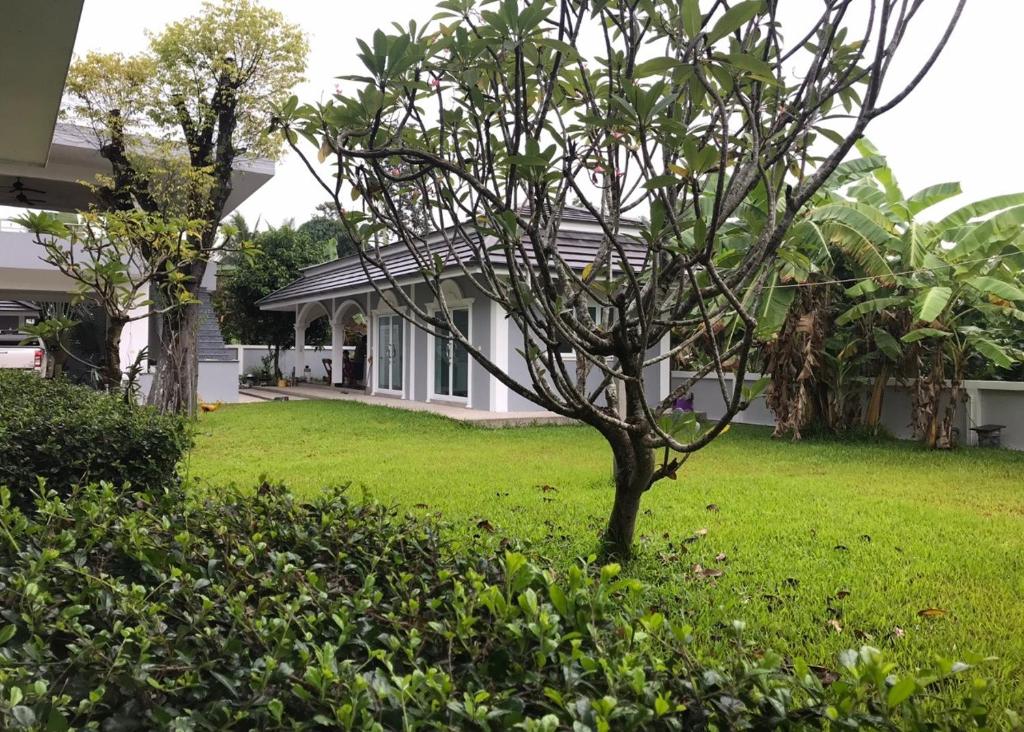 una casa con un pequeño árbol en el patio en Sutalawadee Resort, en Ban Prasat