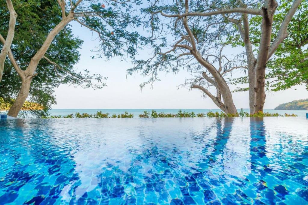 普吉市的住宿－Koh Sirey Beachfront Pool Villa，一座种有树木的游泳池,一座背景海洋