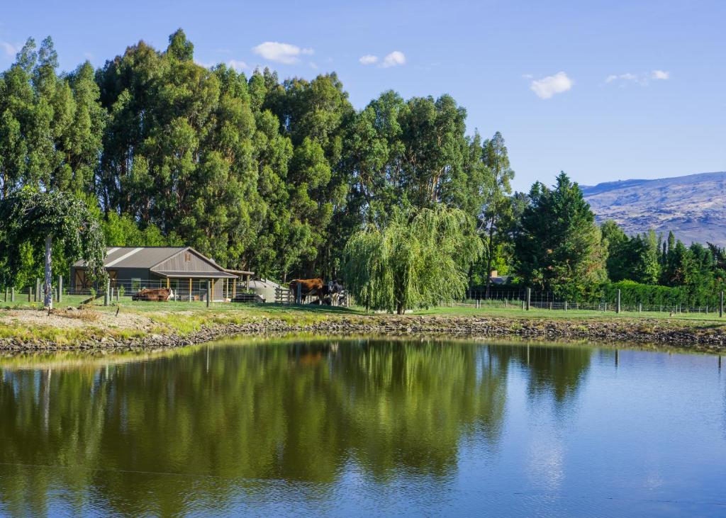 a lake with a house in the background with trees at Dunstan Road B&B in Alexandra