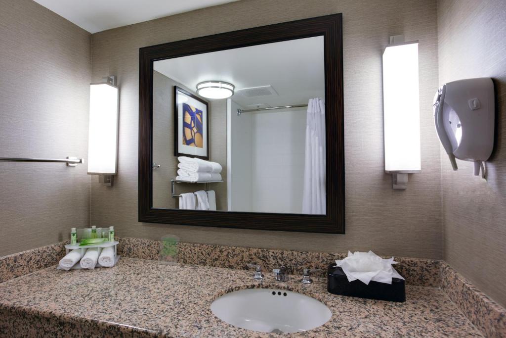 Holiday Inn Express Hotel & Suites Meadowlands Area, an IHG Hotel - Room King Estándar