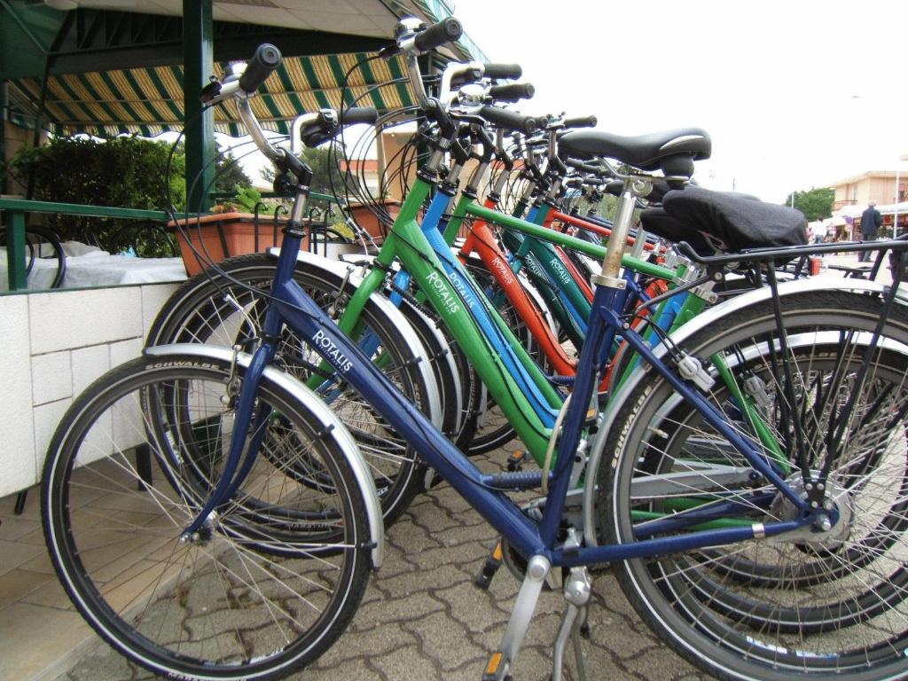 Jízda na kole v ubytování Hotel Autostello nebo okolí