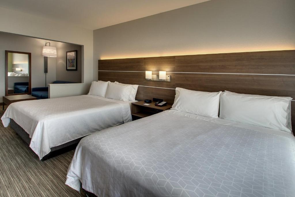 Holiday Inn Express Hotel & Suites Waukegan/Gurnee, an IHG Hotel - Suite Queen De Deux Pièces