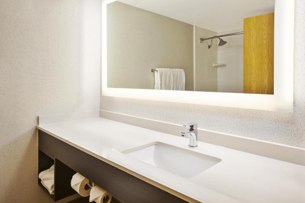 Holiday Inn Express & Suites Chicago-Midway Airport, an IHG Hotel - One-Bedroom King Suite
