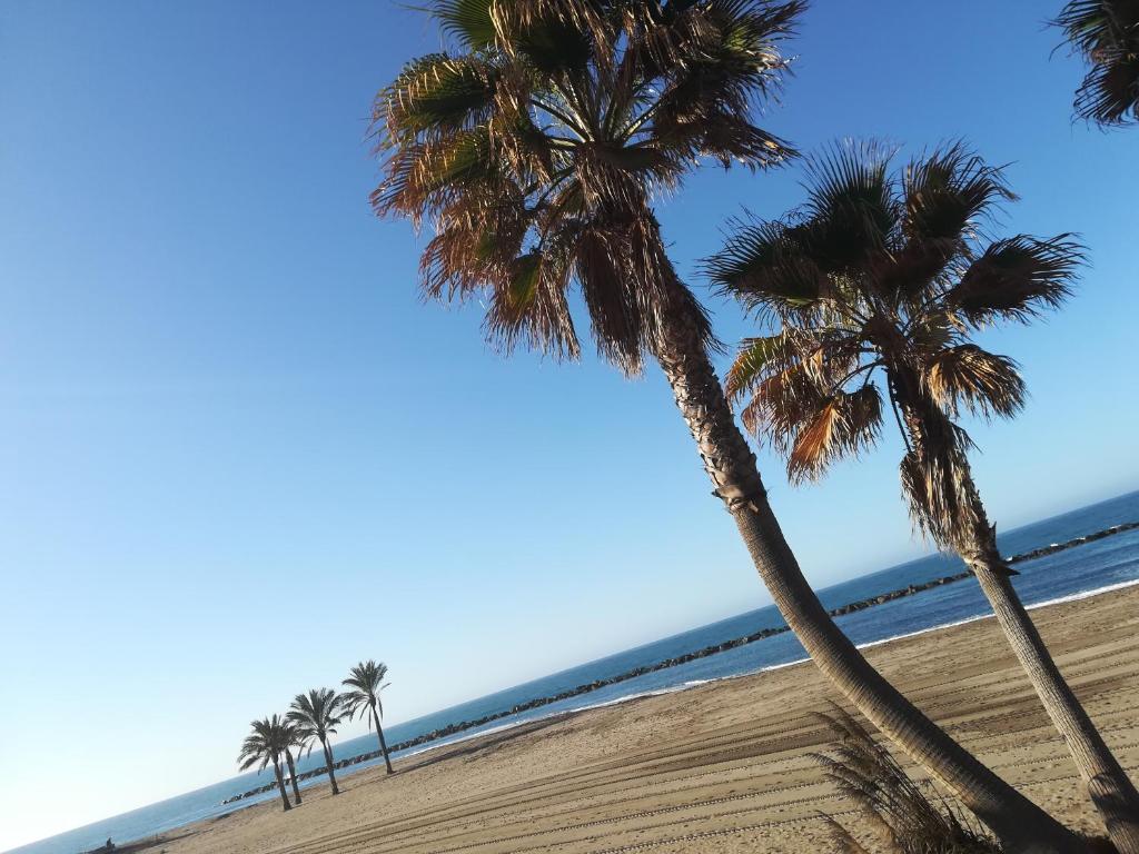 dwie palmy na plaży z oceanem w obiekcie La Conchita w mieście Almería
