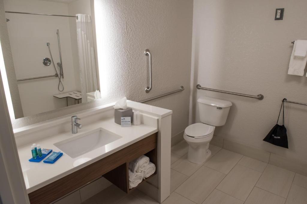 Holiday Inn Express & Suites - Dayton Southwest, an IHG Hotel - King Room - Entendre Accessible - Douche Rouleau