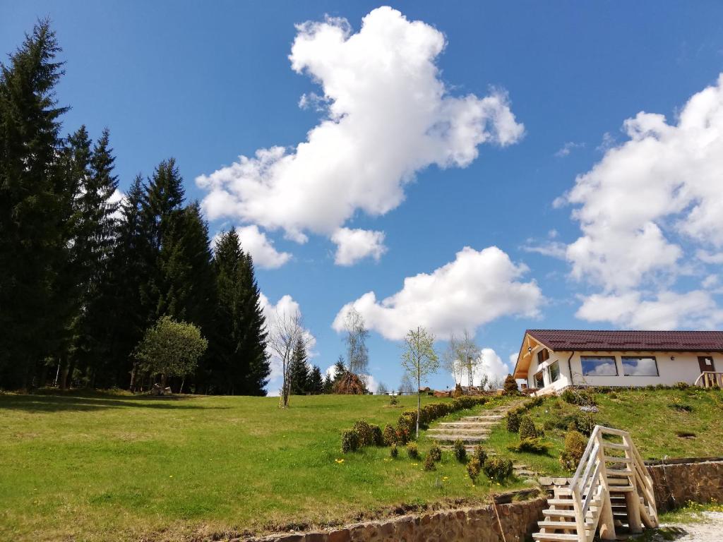 a house on a hill with a green field and trees at Pensiunea L`Amoro in Neagra Şarului