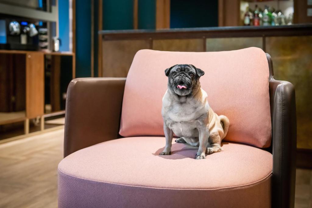 Hotel Canada - Resim 40